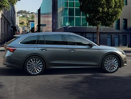 Octavia Combi’s dynamism